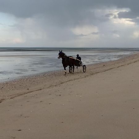Gites "Plage" Ou "Pieds Dans L'Eau" En Front De Mer A Asnelles , 3Km D'Arromanches, 10Km De Bayeux 外观 照片