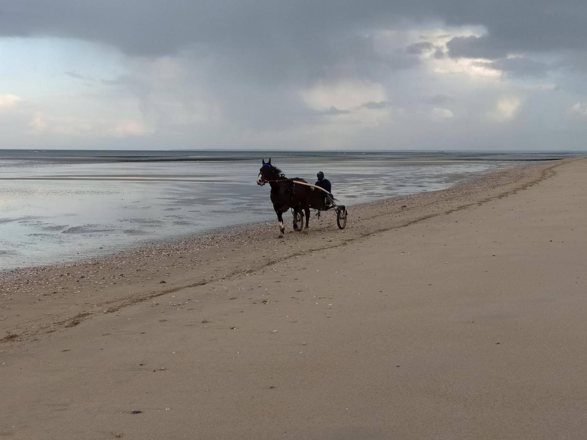 Gites "Plage" Ou "Pieds Dans L'Eau" En Front De Mer A Asnelles , 3Km D'Arromanches, 10Km De Bayeux 外观 照片